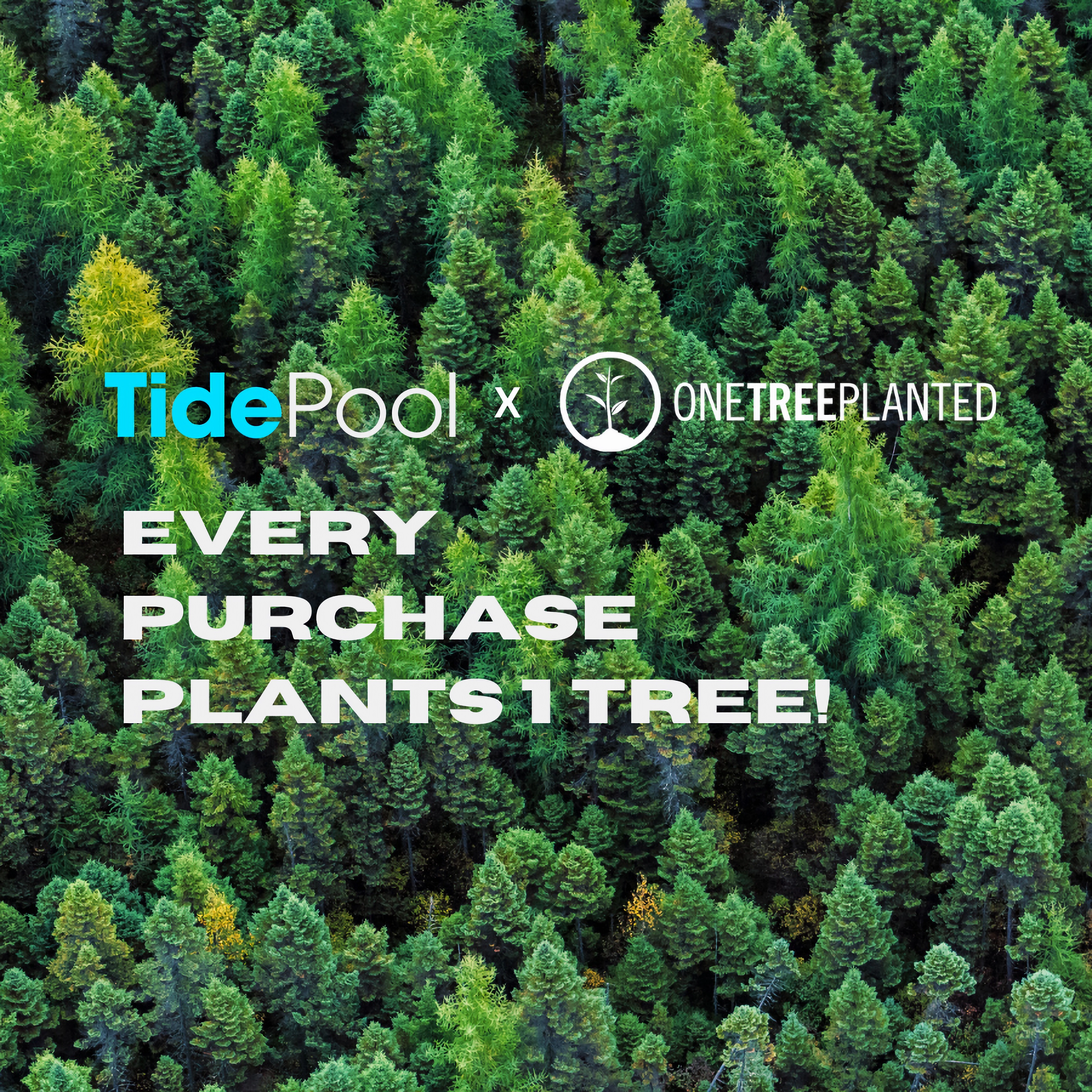 TidePool_900_x_900-3-2.png